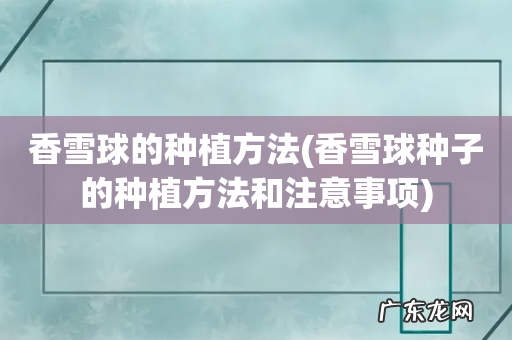 香雪球种子的种植方法和注意事项 香雪球的种植方法