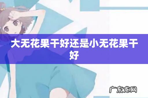 大无花果干好还是小无花果干好