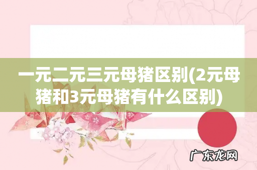 2元母猪和3元母猪有什么区别 一元二元三元母猪区别