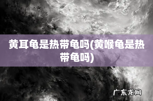黄喉龟是热带龟吗 黄耳龟是热带龟吗