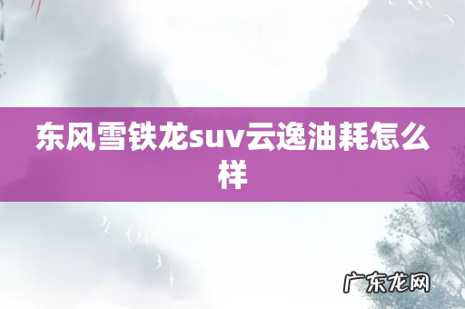 东风雪铁龙suv云逸油耗怎么样