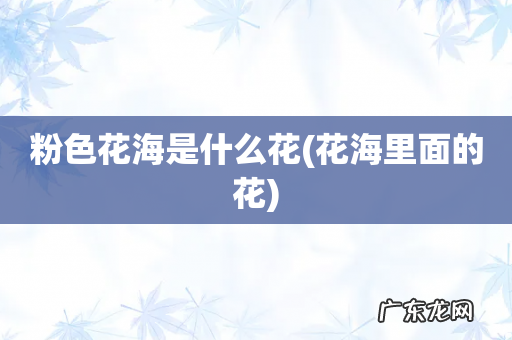 花海里面的花 粉色花海是什么花