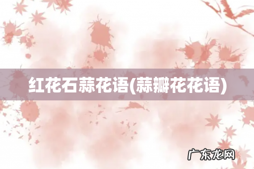 蒜瓣花花语 红花石蒜花语