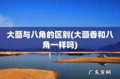 大茴香和八角一样吗 大茴与八角的区别