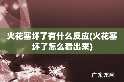 火花塞坏了怎么看出来 火花塞坏了有什么反应