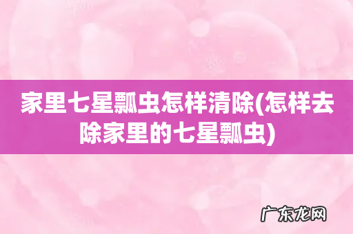 怎样去除家里的七星瓢虫 家里七星瓢虫怎样清除