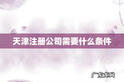 天津注册公司需要什么条件