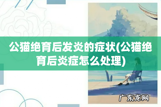 公猫绝育后炎症怎么处理 公猫绝育后发炎的症状