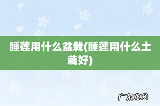 睡莲用什么土栽好 睡莲用什么盆栽