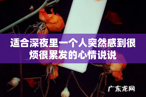 适合深夜里一个人突然感到很烦很累发的心情说说