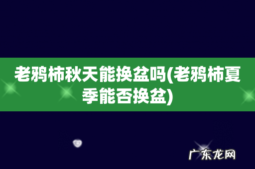 老鸦柿夏季能否换盆 老鸦柿秋天能换盆吗