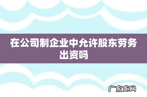 在公司制企业中允许股东劳务出资吗