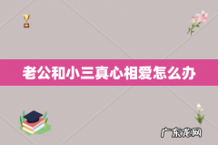 老公和小三真心相爱怎么办