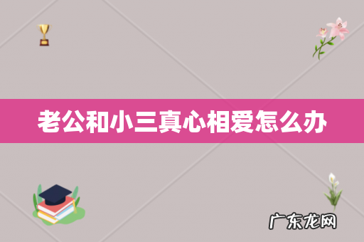 老公和小三真心相爱怎么办