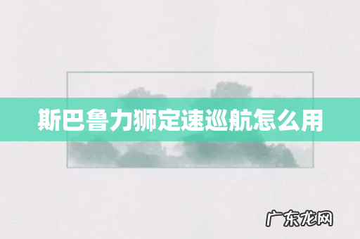 斯巴鲁力狮定速巡航怎么用