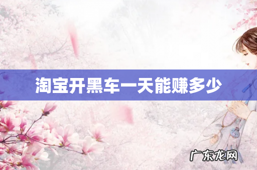 淘宝开黑车一天能赚多少