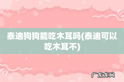 泰迪可以吃木耳不 泰迪狗狗能吃木耳吗