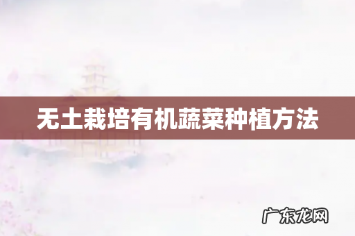 无土栽培有机蔬菜种植方法