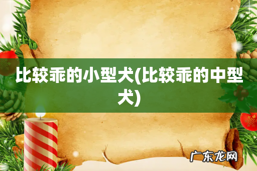 比较乖的中型犬 比较乖的小型犬