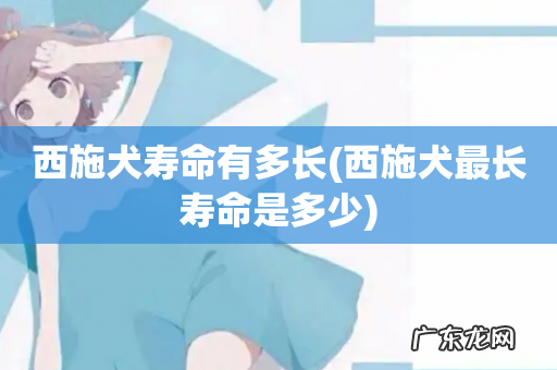 西施犬最长寿命是多少 西施犬寿命有多长