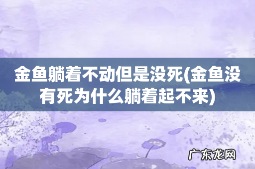 金鱼没有死为什么躺着起不来 金鱼躺着不动但是没死