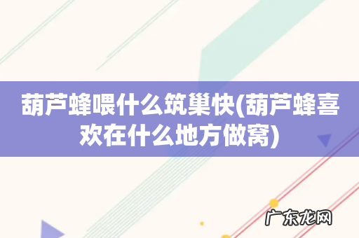 葫芦蜂喜欢在什么地方做窝 葫芦蜂喂什么筑巢快
