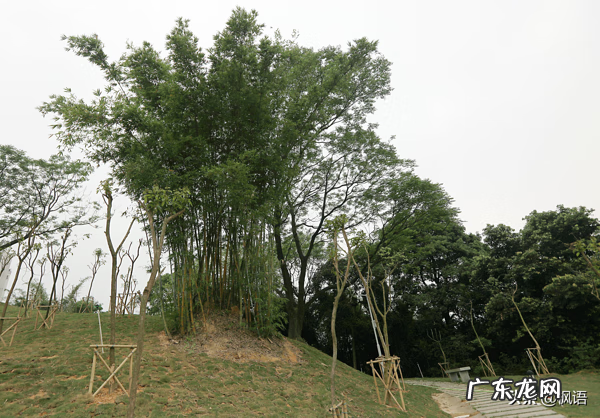 江都哪个小区风水好 江门风水最好的地方