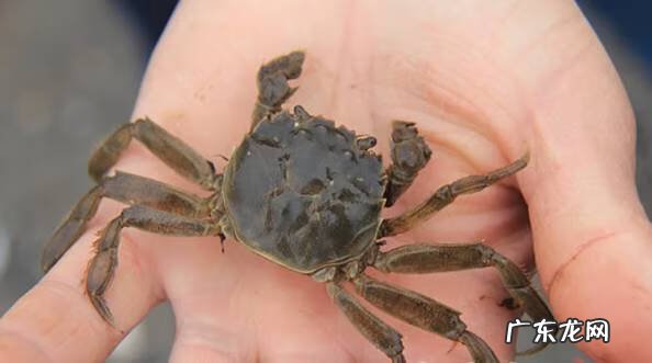 来宾寺山九十九坡风水宝地 宜宾邱场镇风水宝地