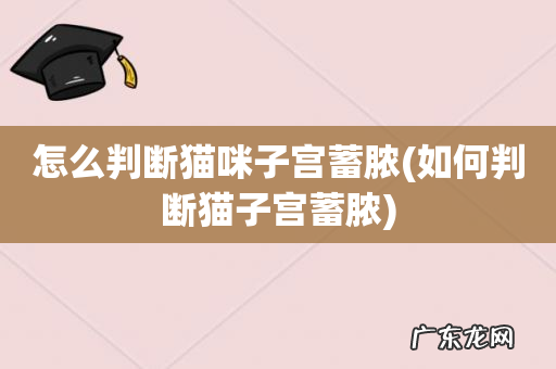 如何判断猫子宫蓄脓 怎么判断猫咪子宫蓄脓