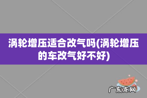 涡轮增压的车改气好不好 涡轮增压适合改气吗