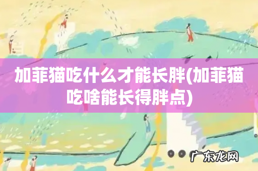 加菲猫吃啥能长得胖点 加菲猫吃什么才能长胖