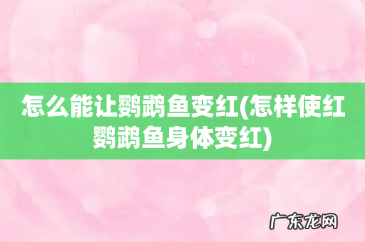 怎样使红鹦鹉鱼身体变红 怎么能让鹦鹉鱼变红