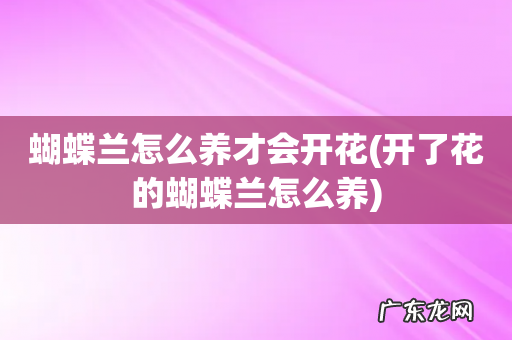 开了花的蝴蝶兰怎么养 蝴蝶兰怎么养才会开花