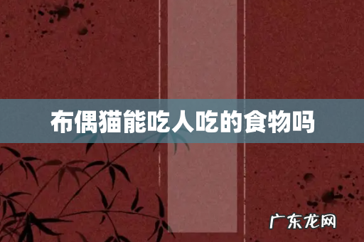 布偶猫能吃人吃的食物吗