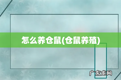 仓鼠养殖 怎么养仓鼠