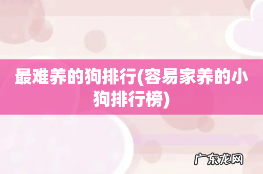 容易家养的小狗排行榜 最难养的狗排行