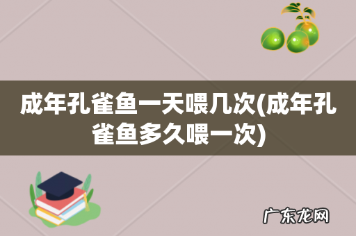 成年孔雀鱼多久喂一次 成年孔雀鱼一天喂几次