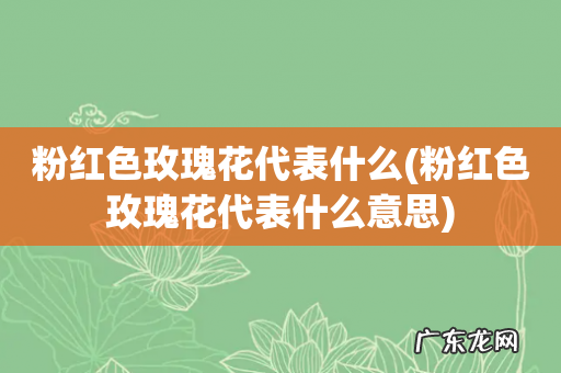 粉红色玫瑰花代表什么意思 粉红色玫瑰花代表什么
