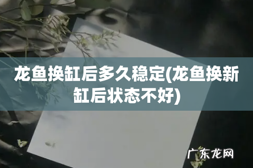 龙鱼换新缸后状态不好 龙鱼换缸后多久稳定