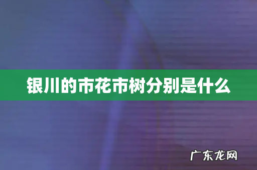 银川的市花市树分别是什么
