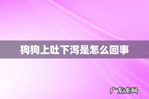 狗狗上吐下泻是怎么回事