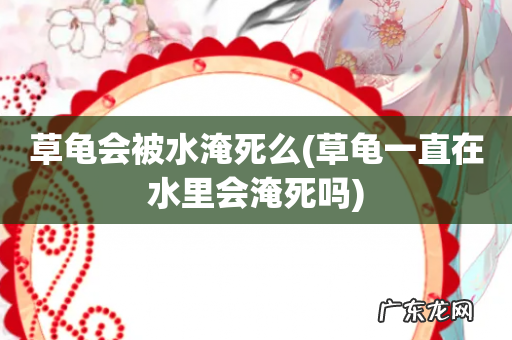 草龟一直在水里会淹死吗 草龟会被水淹死么