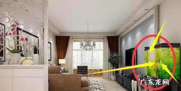 狗摆件风水 风水鼎里放风水狗