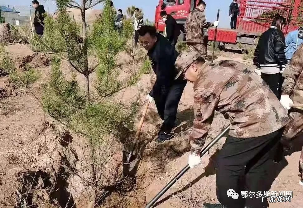 达拉特旗之窗 达拉特旗风水梁地图