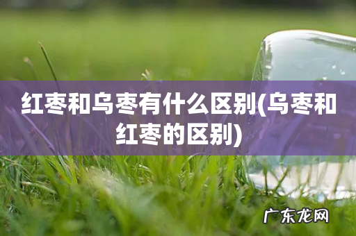 乌枣和红枣的区别 红枣和乌枣有什么区别