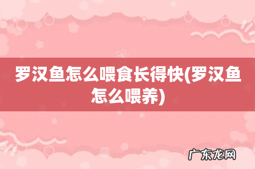 罗汉鱼怎么喂养 罗汉鱼怎么喂食长得快