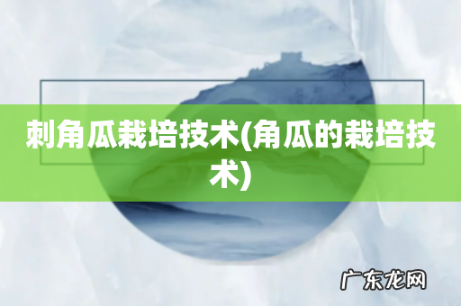 角瓜的栽培技术 刺角瓜栽培技术