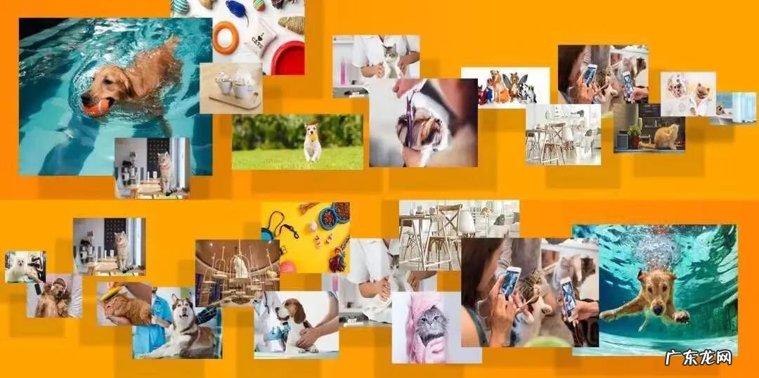 AQUAPAZZA下载 Aquapark