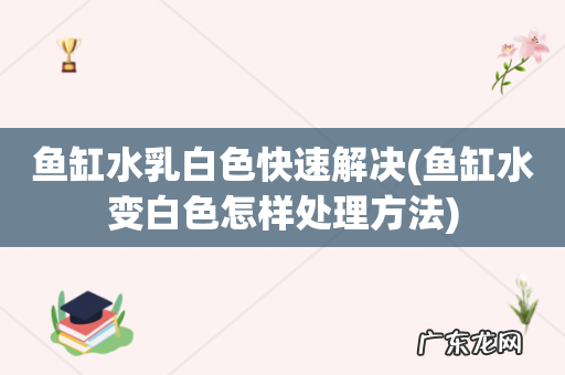 鱼缸水变白色怎样处理方法 鱼缸水乳白色快速解决