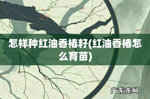 红油香椿怎么育苗 怎样种红油香椿籽